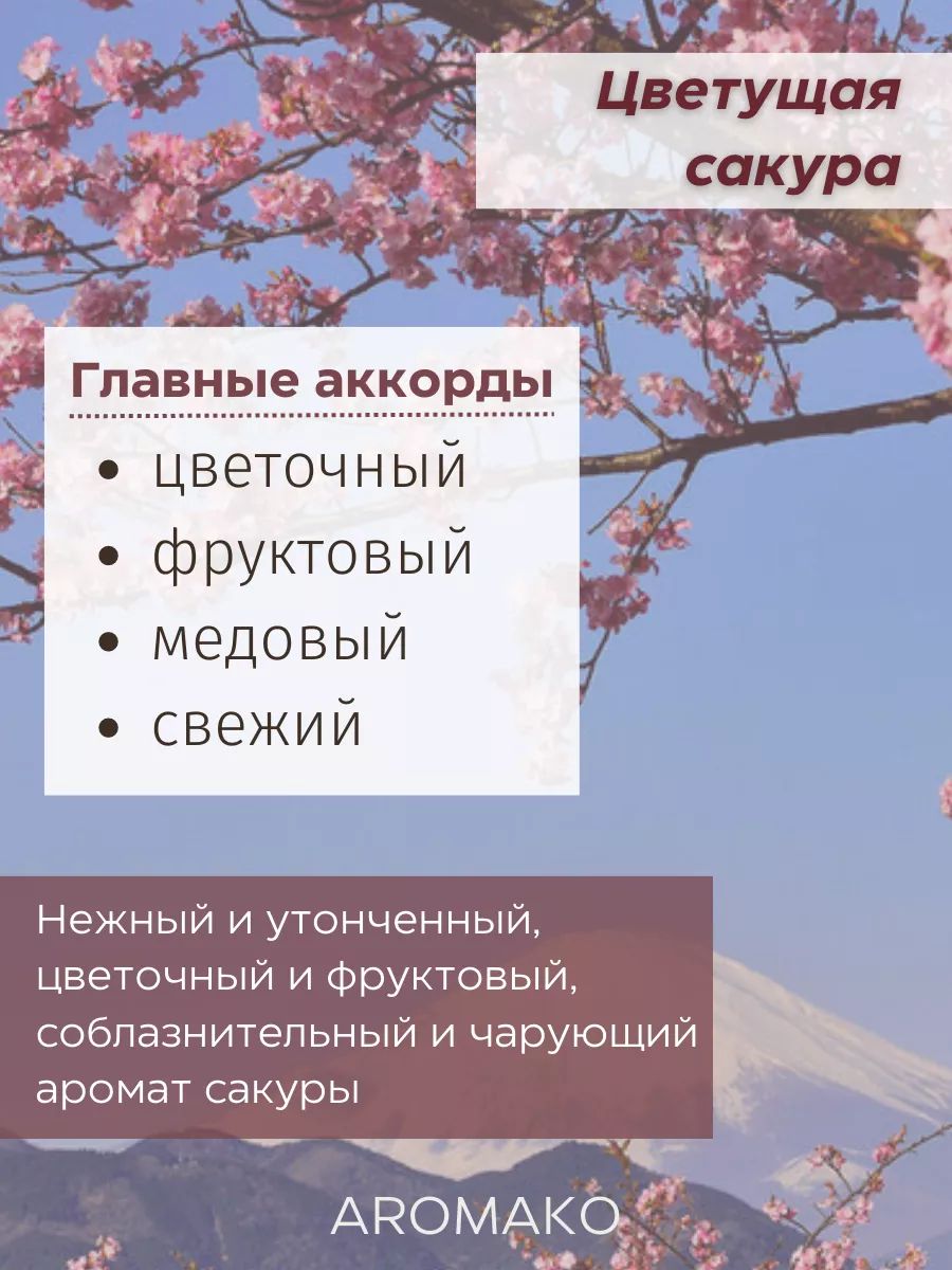 Аромасвеча AromaKo «Цветущая сакура», 50 г
